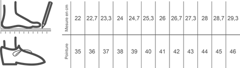 guide des tailles pied